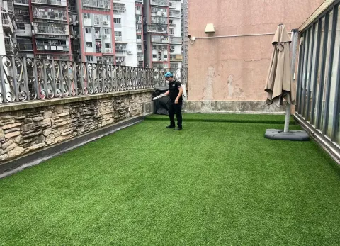 學校滅蚊行動完成！齊齊打造健康校園！ - 1