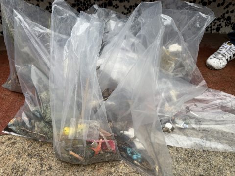 清潔海灘好 Easy - 8