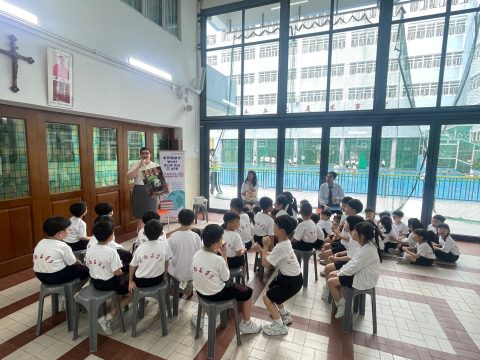 2024-2025 Primary World Book Day Guests Storytelling - 2