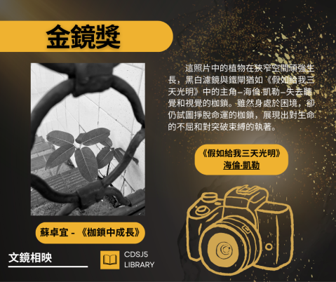 圖書館攝影比賽「文鏡相映」(中學) - 9