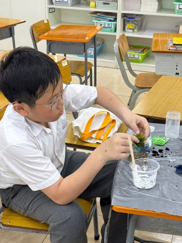 感恩栽種，心意綻放 ── 花藝種植班圓滿落幕（小學） - 3