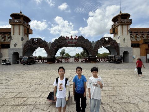 2025 WRO世界青少年機器人奧林匹克競賽中國邀請賽-小學 - 2