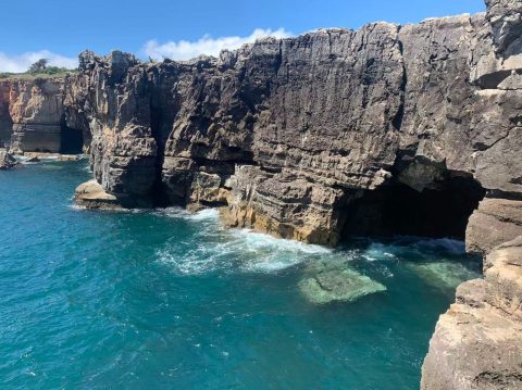 2025暑期葡語學習計劃-中學 - 5