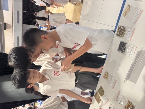 2025中醫藥走進校園活動-中學 - 7