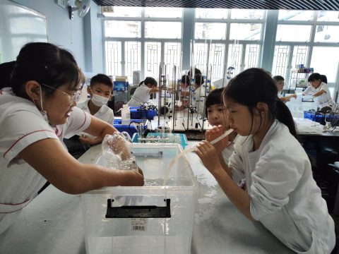 常識課堂花絮-小學 - 8