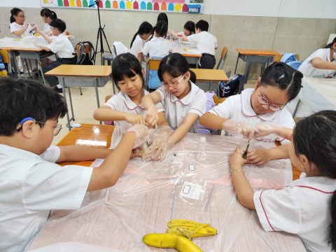 常識課堂花絮-小學 - 9