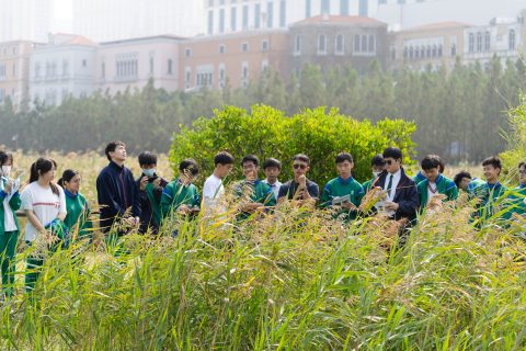 龍環葡韻濕地參觀活動-中學 - 9