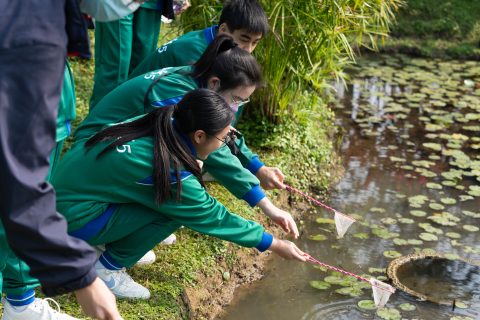 龍環葡韻濕地參觀活動-中學 - 12