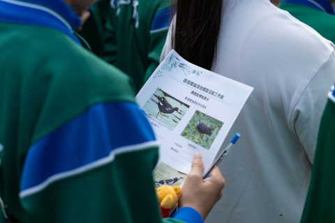 龍環葡韻濕地參觀活動-中學 - 17