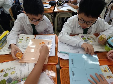 聖若瑟教區中學第五校與第三校開展「聯校觀課」計劃  - 7