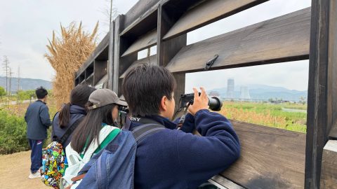 第二屆琴澳青少年觀鳥比賽 - 2