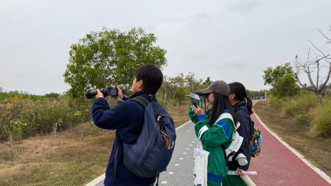 第二屆琴澳青少年觀鳥比賽 - 4