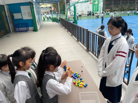 專注過五關，捷報連連！ - 5