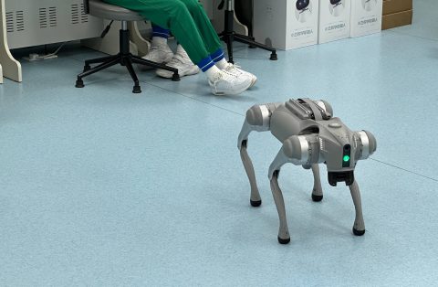 四足機械人-中學 - 1