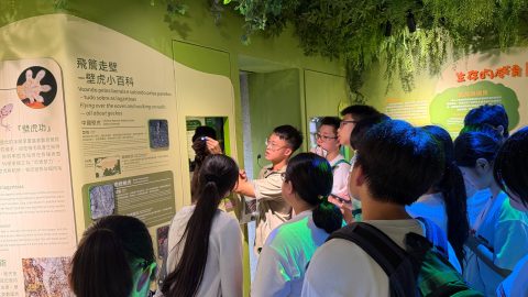 高一丙石排灣生態全接觸 - 1