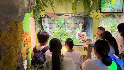 高一丙石排灣生態全接觸 - 3