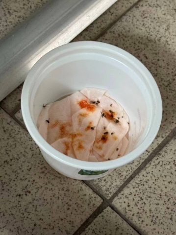 2026-4月全校驅蚊大行動 - 7