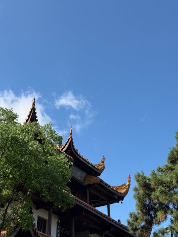 湖南長沙歷史文化學習之旅 - 5