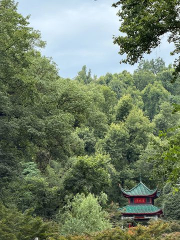 湖南長沙歷史文化學習之旅 - 11