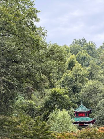 湖南長沙歷史文化學習之旅 - 12