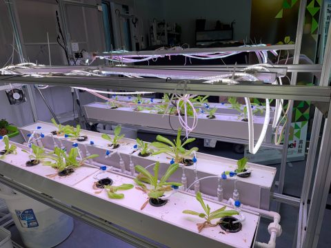 學生發展及升學辦公室參訪香港高等教育科技學院 充實升學輔導資源 - 2