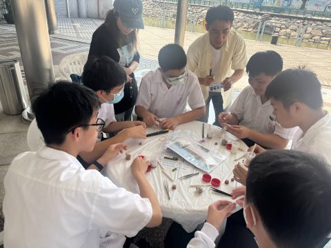 「生態海岸線——與自然共建」 - 1