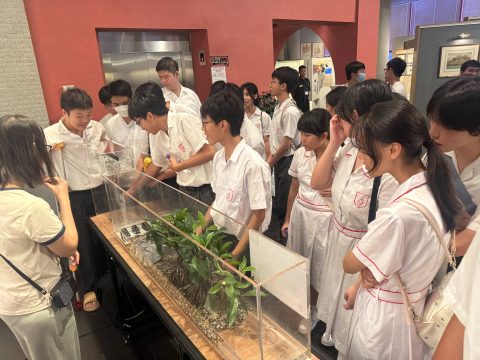 「生態海岸線——與自然共建」 - 5